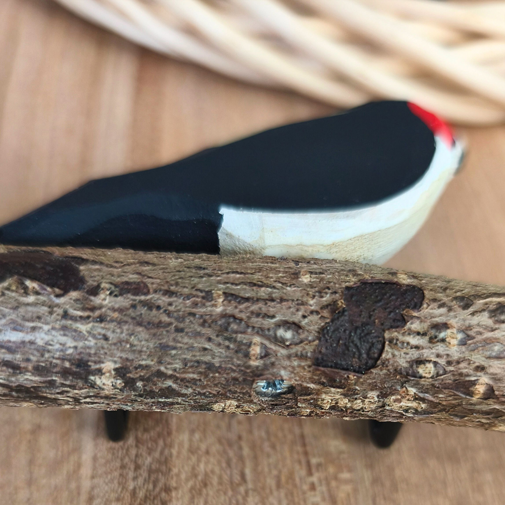 Oiseau Branche Chardonneret élégant