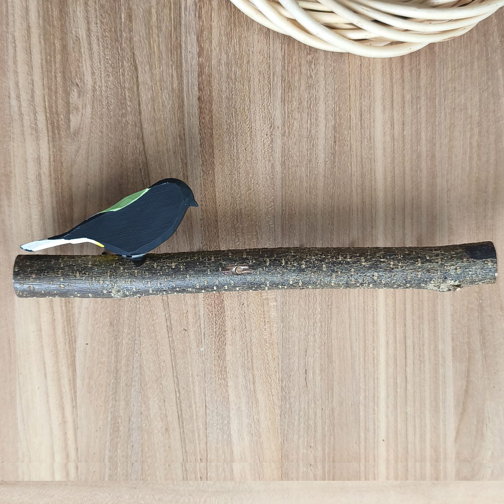 Oiseau Branche Mésange charbonnière 1 de dos