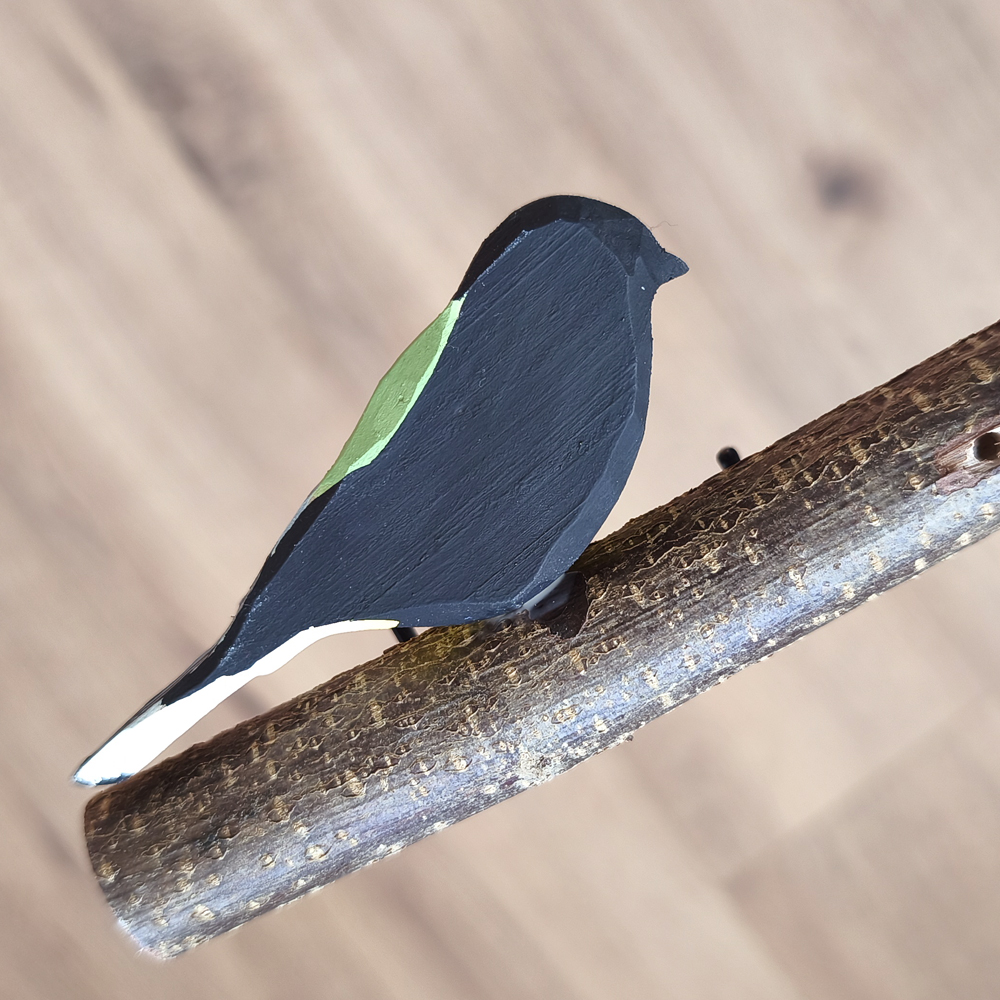 Oiseau Branche Mésange charbonnière 1