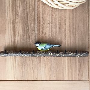 Oiseau Branche Mésange charbonnière 2