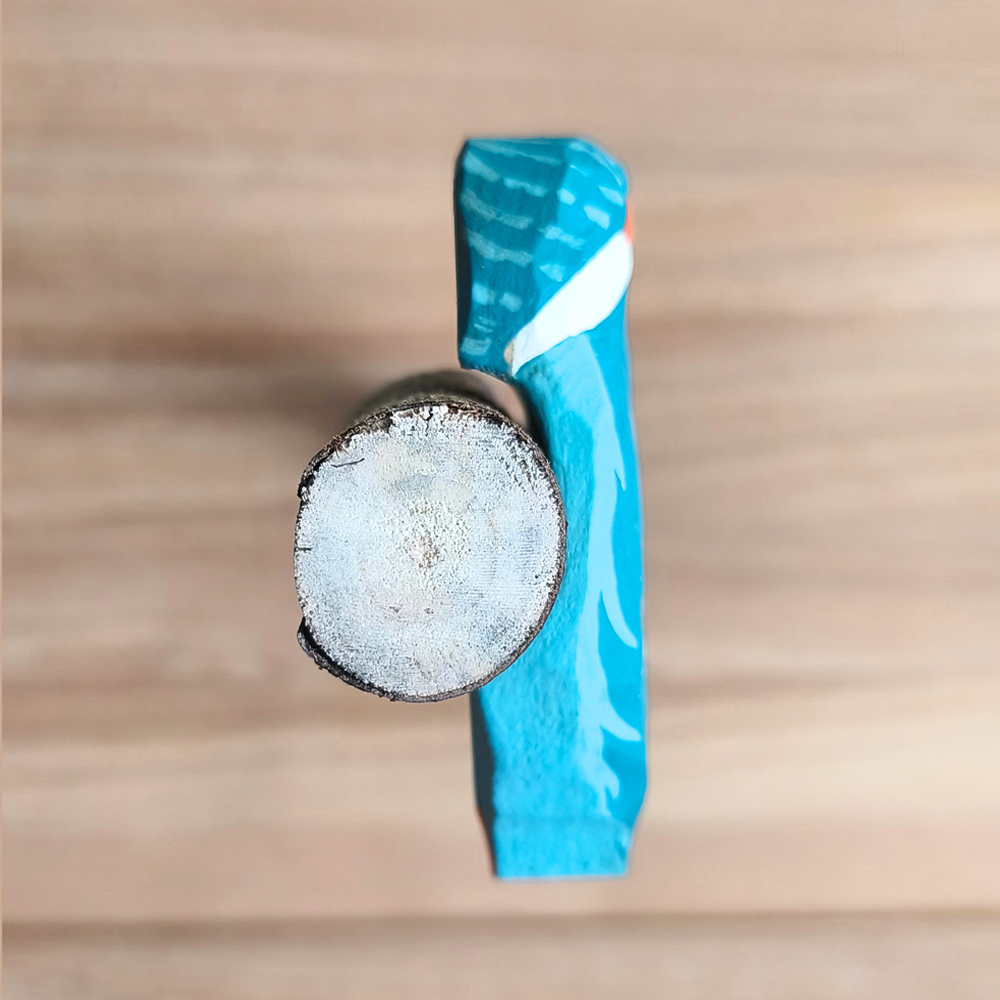 Oiseau Branche Martin pêcheur