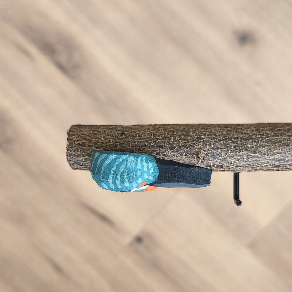 Oiseau Branche Martin pêcheur