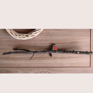 Oiseau Branche Rouge gorge vue générale