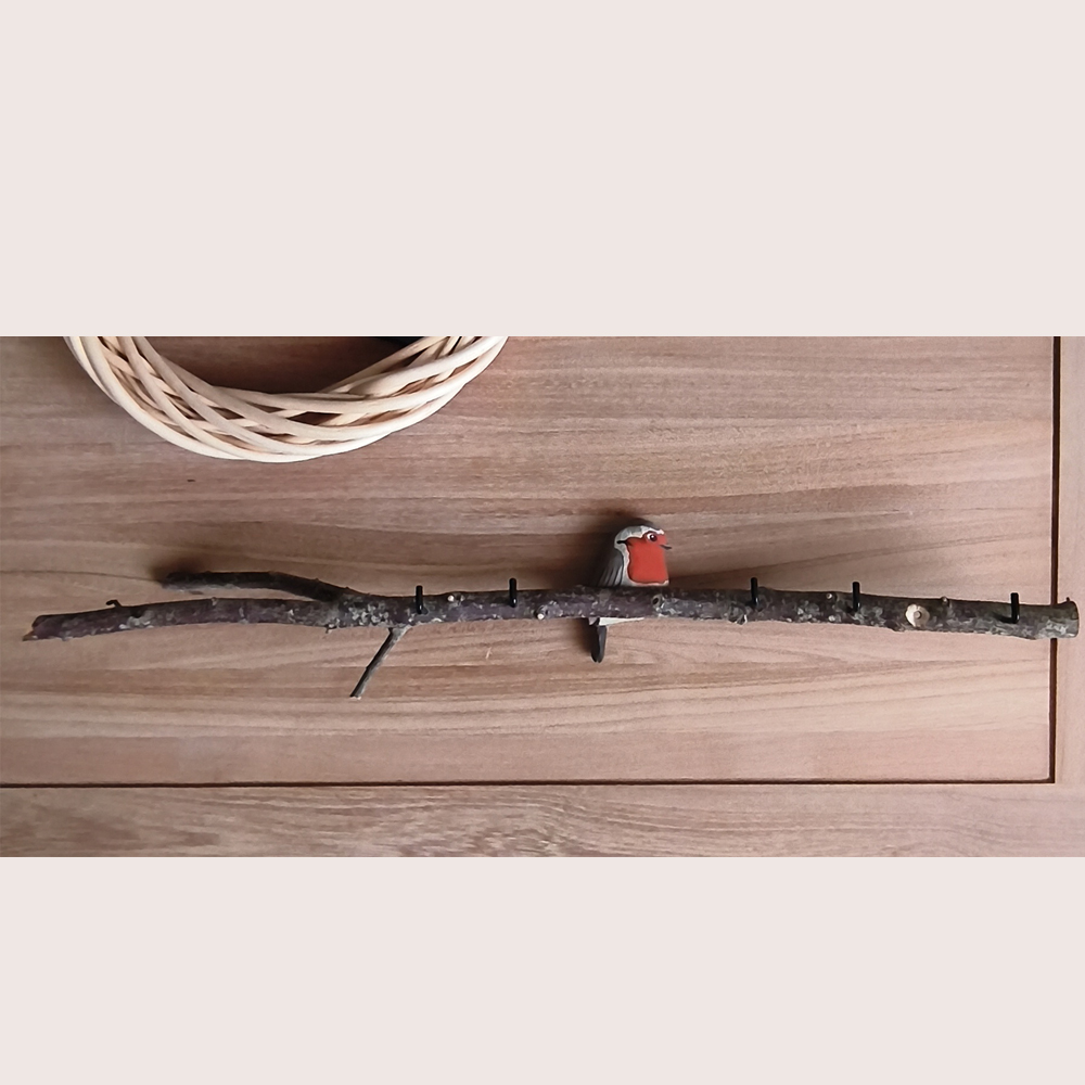 Oiseau Branche Rouge gorge vue générale