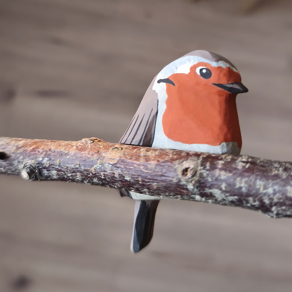 Oiseau Branche Rouge gorge