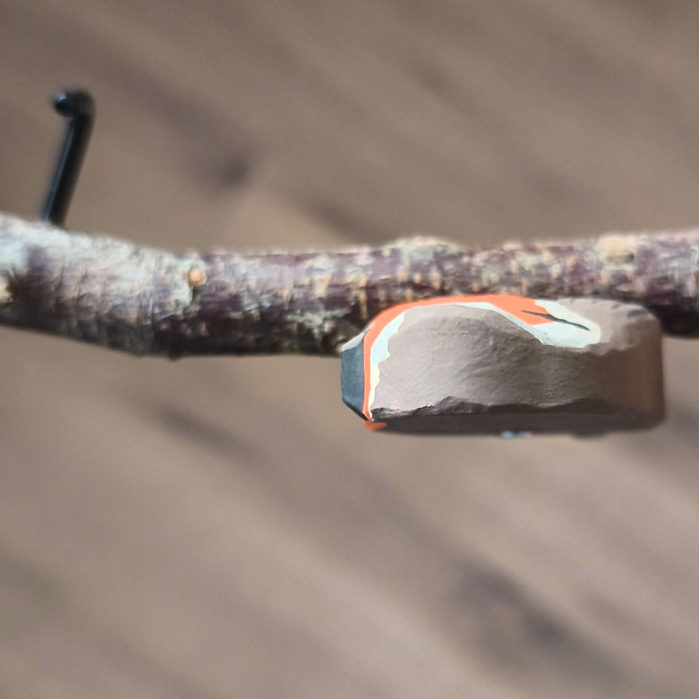 Oiseau Branche Rouge gorge