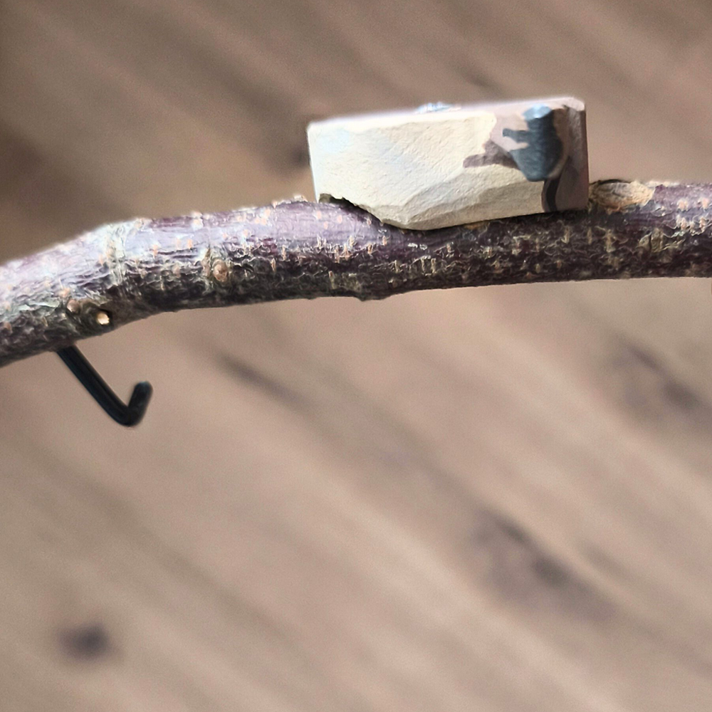 Oiseau Branche Rouge gorge