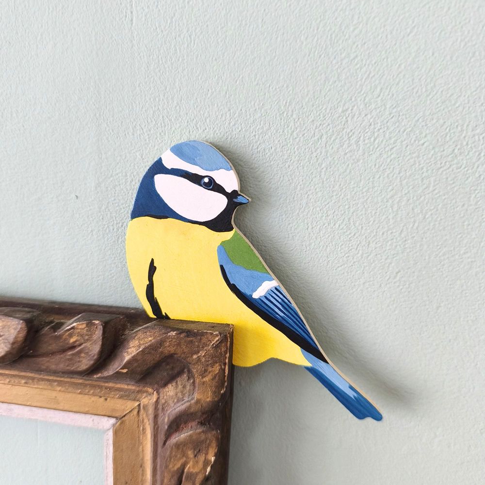 Oiseau Chez Soi Mésange bleue