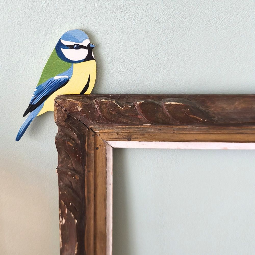 Oiseau Chez Soi Mésange bleue