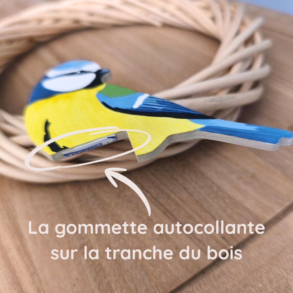 Oiseau Chez Soi Mésange bleue