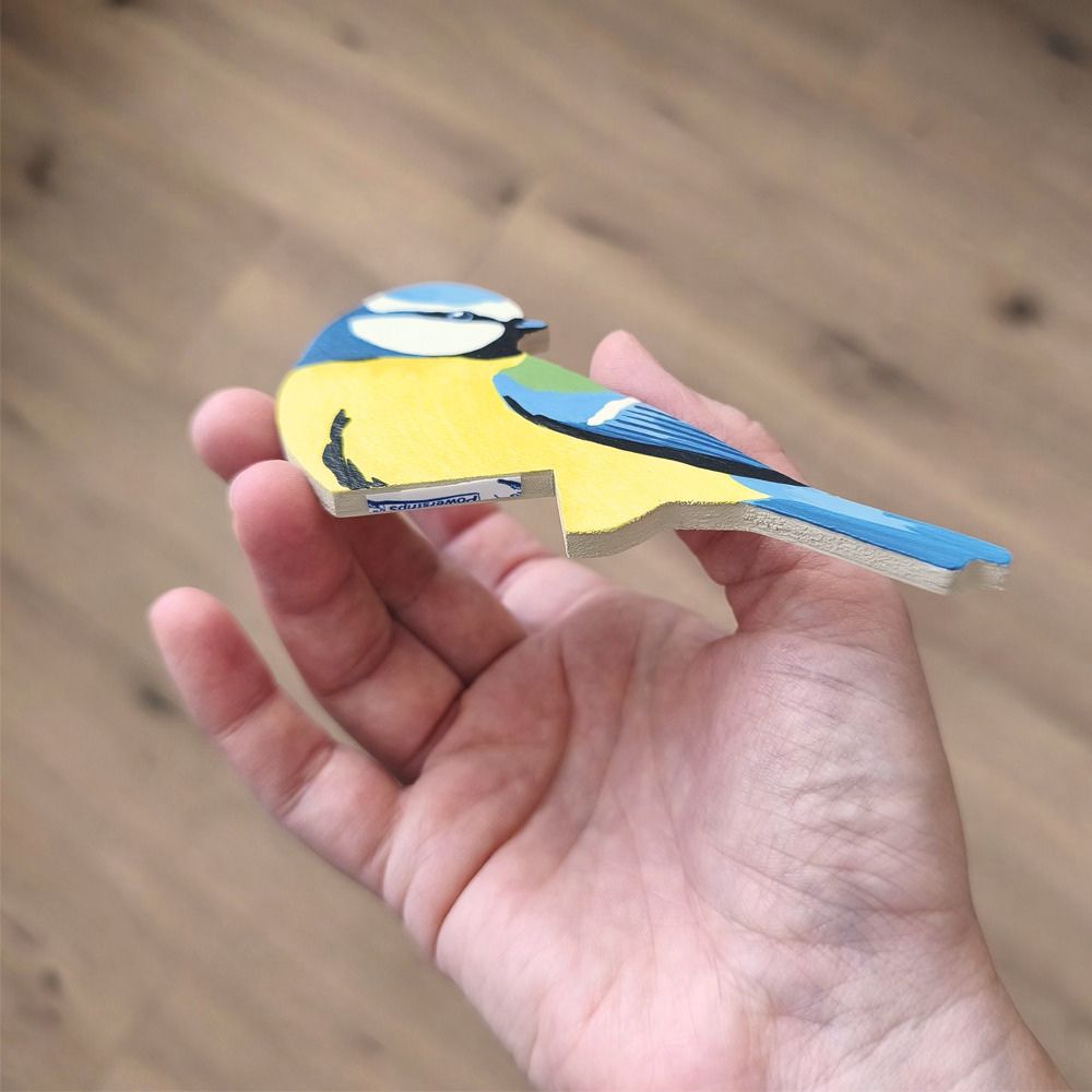 Oiseau Chez Soi Mésange bleue