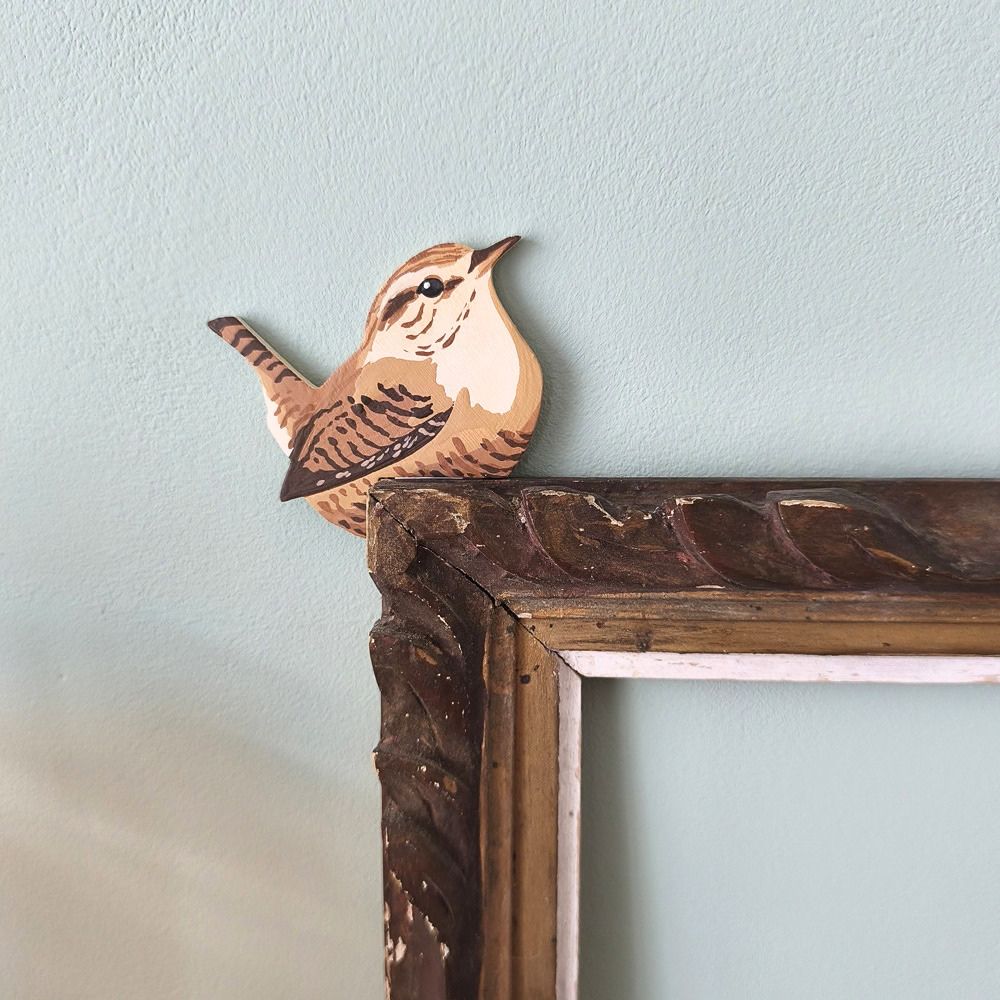 Oiseau chez Soi Troglodyte mignon