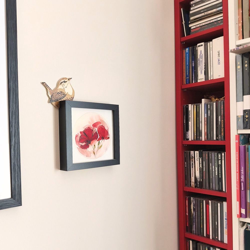 Oiseau chez Soi Troglodyte mignon