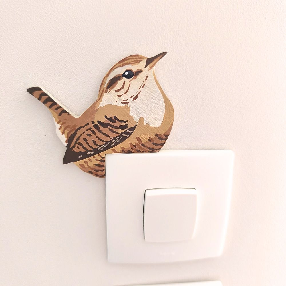 Oiseau chez Soi Troglodyte mignon