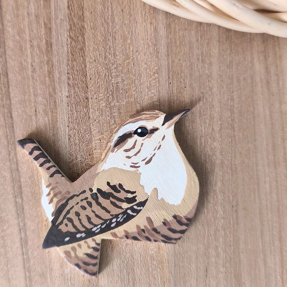 Oiseau chez Soi Troglodyte mignon